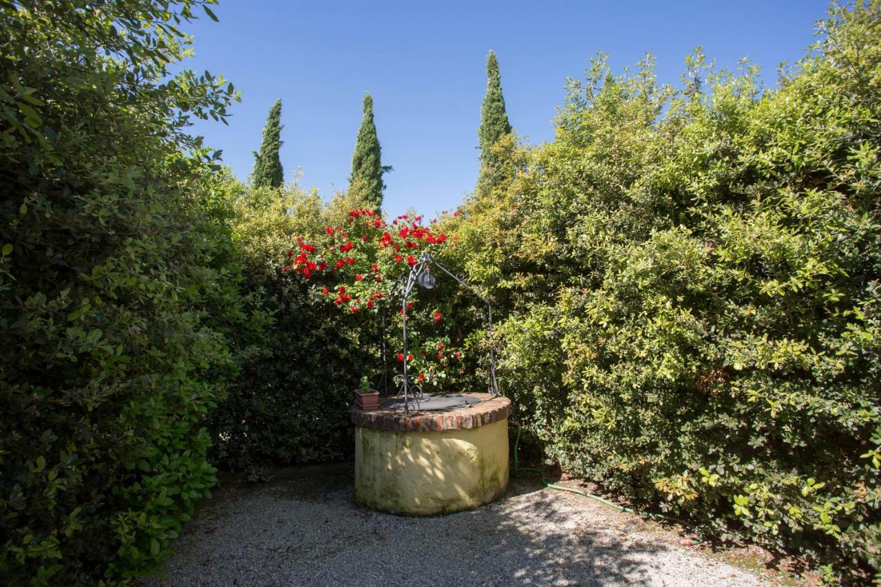 Maison d'hôtes Casa Carlotta à Foiano Della Chiana Extérieur photo